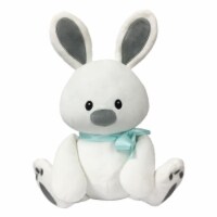 Borders Unlimited Sweet Dreams Furry Friends Cloud Bunny with Teal Ribbon for 3 Yrs+