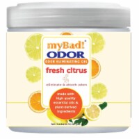 my Bad! Odor Eliminator Gel 15 oz - Fresh Citrus, Air Freshener