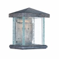 Maxim 55733CLET 12.25 in. Triumph VX LED Outdoor Wall Sconce, Earth Tone