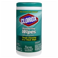 Clorox 75 Count Disinfecting Wipes Fresh Scent (Pack of 4)