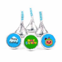324ct Kid's Birthday Stickers for Hershey's Kisses Birthday Party Supplies (324 Count)
