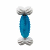 Multipet Peppermint Canine Clean Dog Toy