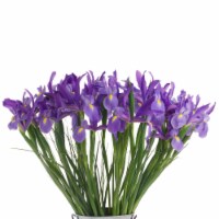 40-Stem Telstar Iris with Beargrass (Approximate Delivery is 1-3 Days)