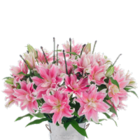 10-Stem Rose Lilies with Ponytail (Approximate Delivery is 1-3 Days)