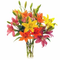 10stem Rainbow Royal Lilies (Approximate Delivery is 1-3 Days)