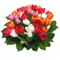 40-Stem Rainbow Tulips with Greens (Approximate Delivery is 1-3 Days)