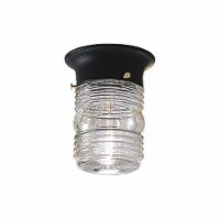 Progress Lighting Canopy Light,Incandescent,60W  P5603-31