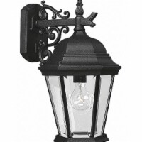 Progress Lighting Decorative Wall Light,INC,100W  P5683-31