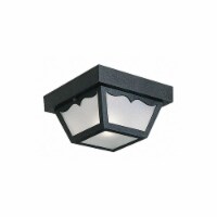 Progress Lighting Canopy Light,Incandescent,60W  P5744-31