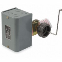 Square D Lqd 2-Lvl Swch,Hrzntl,2-1/2  MNPT,250F  9038CG36N4LZ20