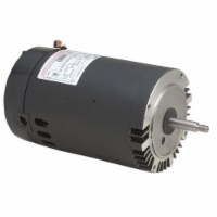 Regal Beloit B229SE 230V, 1 HP Century Single Speed Pool Motor