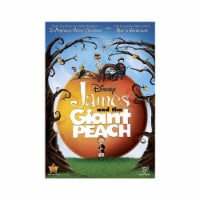 James and the Giant Peach (1996 - DVD) Perspective: Main