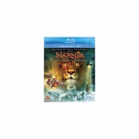 The Chronicles of Narnia: The Lion The Witch and The Wardrobe (2005 - Blu-Ray/DVD) Perspective: Main