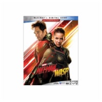 Ant-Man and The Wasp (2018 - Blu-Ray/Digital Code) Perspective: Main