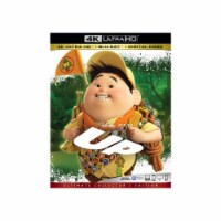 Up (2009 - 4K Ultra HD/Blu-Ray/Digital Code) Available 3/03/2020 Perspective: Main