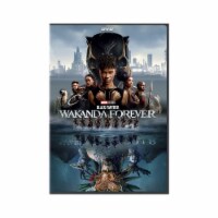 Black Panther: Wakanda Forever DVD Perspective: Main