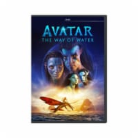 Avatar-Way of Water DVD