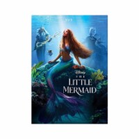 Little Mermaid (2023) DVD Perspective: Main