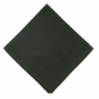 Mr. MJs Trading AG-20317S-4 Napkins, Moss Green - Set of 4