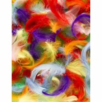 AFD Home 12006029 Feathers Gallery Wrap Art, Multi Color - 48 x 2 x 36 in.