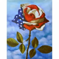 AFD Home 12011802 American Flag Single Rose Gallery Wrap Art, Multi Color
