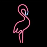 Johnny Austin Neon flamingo Flamingo Neon Sculpture