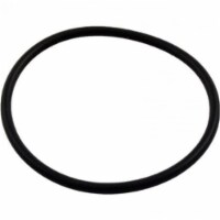 Gli Pool Products 072560 2-In. Seal Screw Cap Replacement Ortege Spring Check Valve