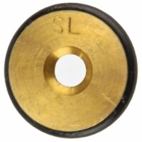 Gli Pool Products 460756 Natural Gas Conversion Replacement Kit 300