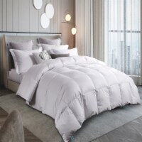 Martha Stewart 300 Thread Count White Down Comforter - Full / Queen