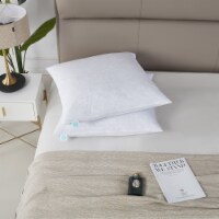 Martha Stewart Euro Feather Pillow - 26 in x 26 in