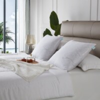 Martha Stewart Decorative Square Pillow Insert - 20 in x 20 in