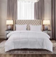 Microfiber Down Alternative Comforter - White, Full / Queen