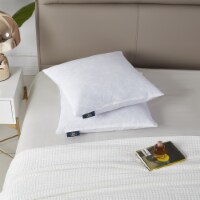 Serta Euro Square Feather Pillow