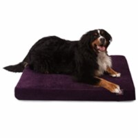 Majestic Pet 78899551672 Aubergine Villa Large Orthopedic Memory Foam Rectangle Dog Bed