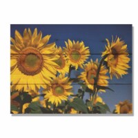 Day Dream HQ SB1115 11 x 15 in. Sunny Bunch Wall Art