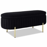 Jennifer Taylor Home Chloe Modern Glam Storage Bench Anthracite Black