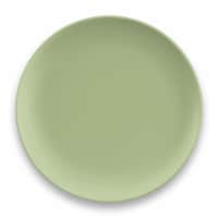 TarHong Wheat Polypropylene Dinner Plate, Celery Perspective: Main