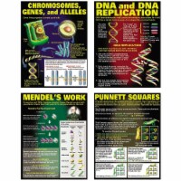 TEACHER CREATED RESOURCES Dna & Heredity Poster Set 128
