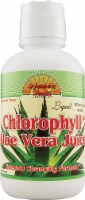 Dynamic Health Spearmint Flavor Liquid Chlorophyll with Aloe Vera Juice