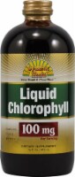 Dynamic Health Liquid Chlorophyll 100mg Dietary Supplement