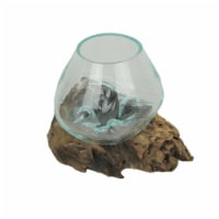 Melted Glass On Teak Driftwood Decorative Bowl/Vase/Terrarium Planter