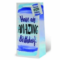 Wrap-Art 17989 Amazing Birthday Wine Bottle Gift Bag