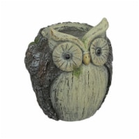 Resin Tree Bark Owl Planter Decorative Succulent Flower Pot Home Garden Decor