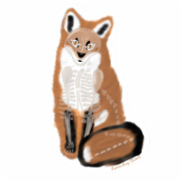 Skeleton Winter Fox -  2.6x3.5in - Vinyl Sticker Or Magnet - Day of the dead