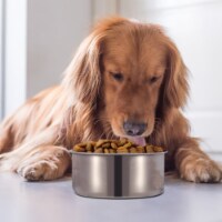 Stainless Steel Dog Bowl Pets Hanging Food Bowl Detachable Pet Cage Food Water Bowl with