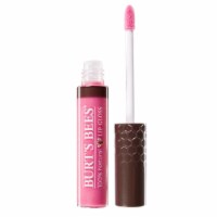 Burt's Bees Spring Splendor Lip Gloss Perspective: Main