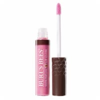 Burt's Bees Moisturizing Lip Gloss 263 Nearly Dusk Perspective: Main