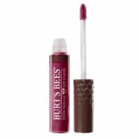 Burt's Bees Starry Night Lip Gloss