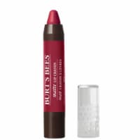Burt's Bees Lip Crayon - Napa Vineyards Perspective: Main