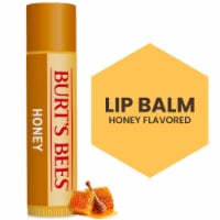 Burt's Bees Honey Moisturizing Lip Balm Perspective: Main